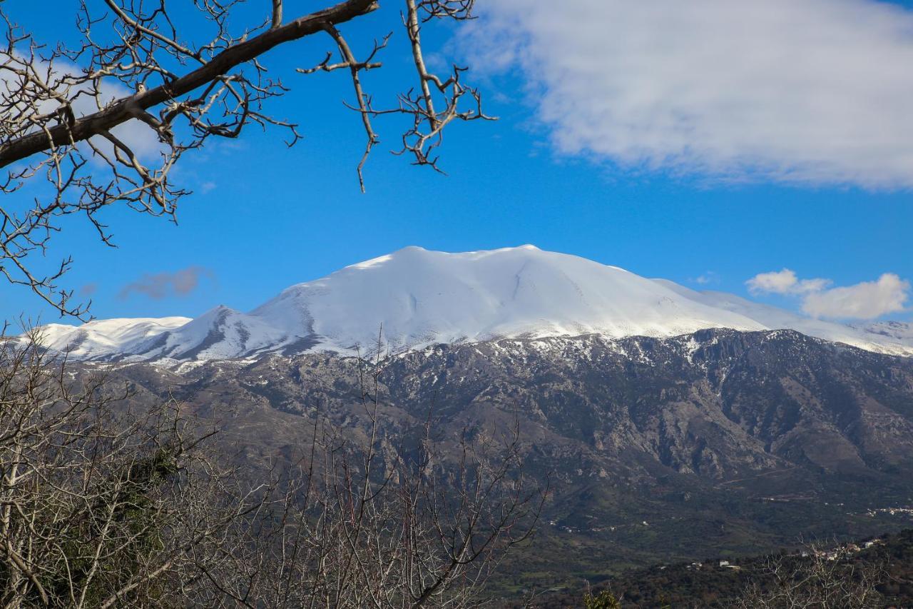 Villa Angelica Μέρωνας Εξωτερικό φωτογραφία