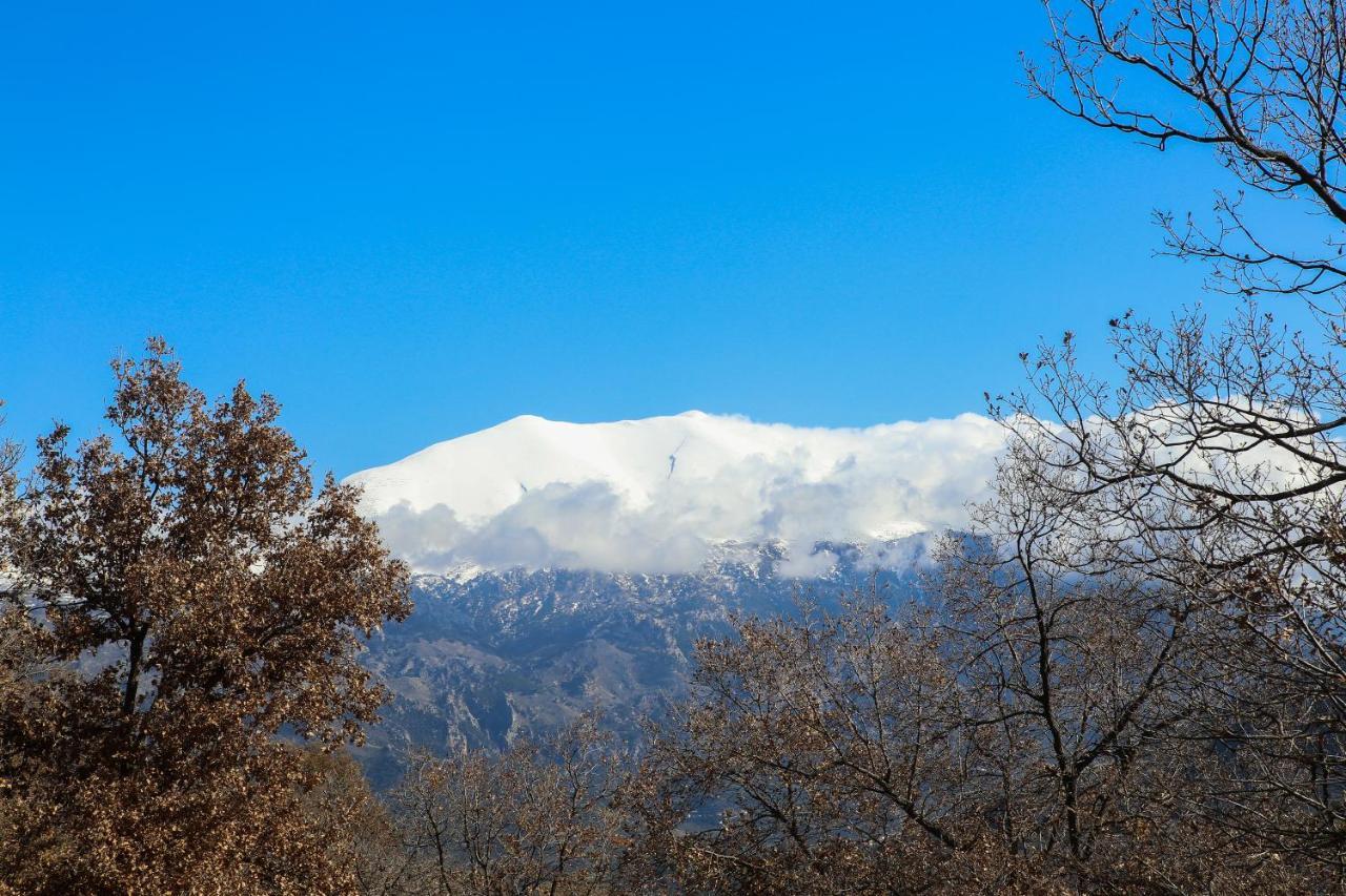 Villa Angelica Μέρωνας Εξωτερικό φωτογραφία